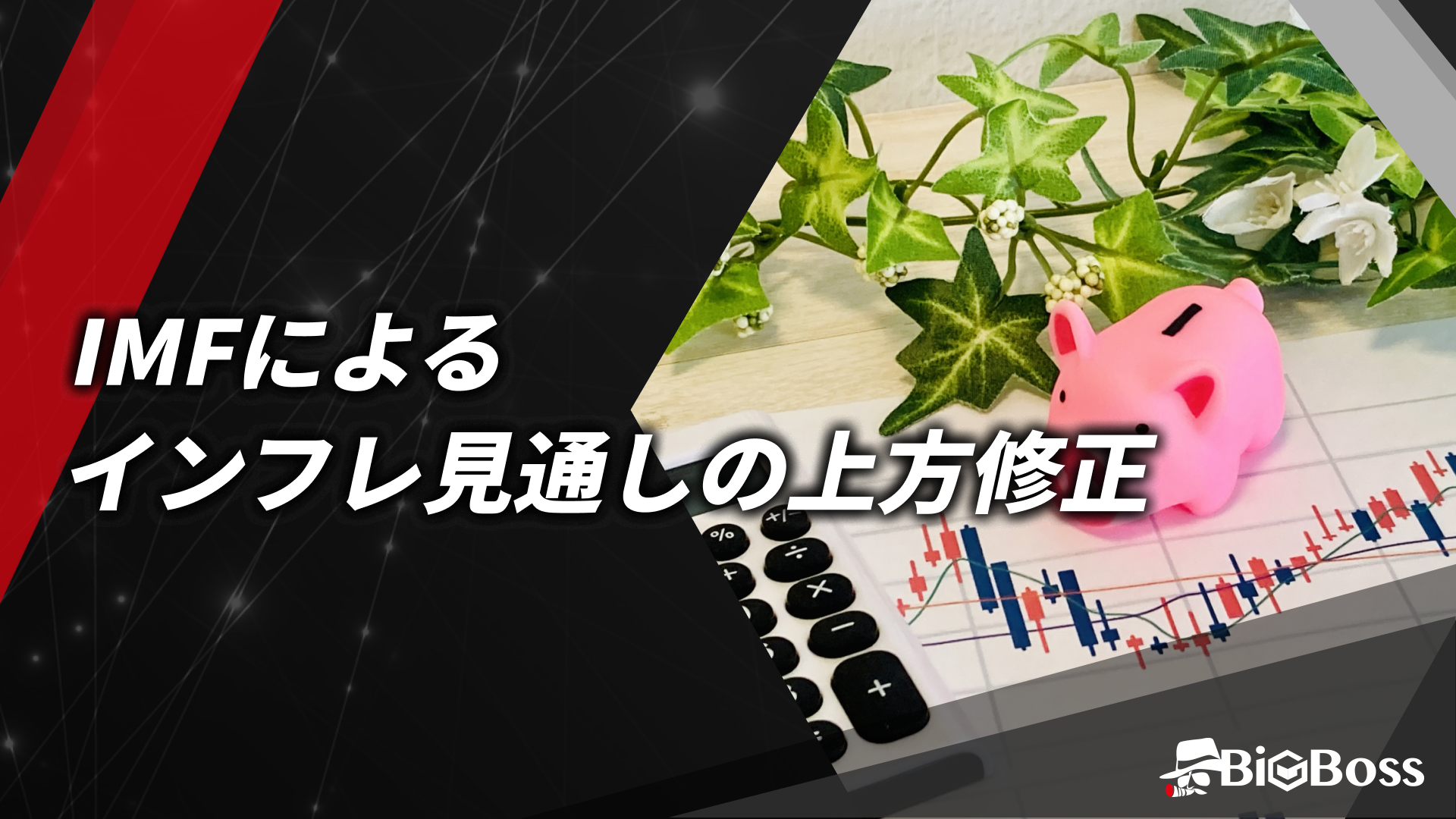 12.IMFによるインフレ見通しの上方修正