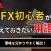 fx初心者がおさえておきたい用語集