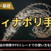 ディナポリ手法とは？