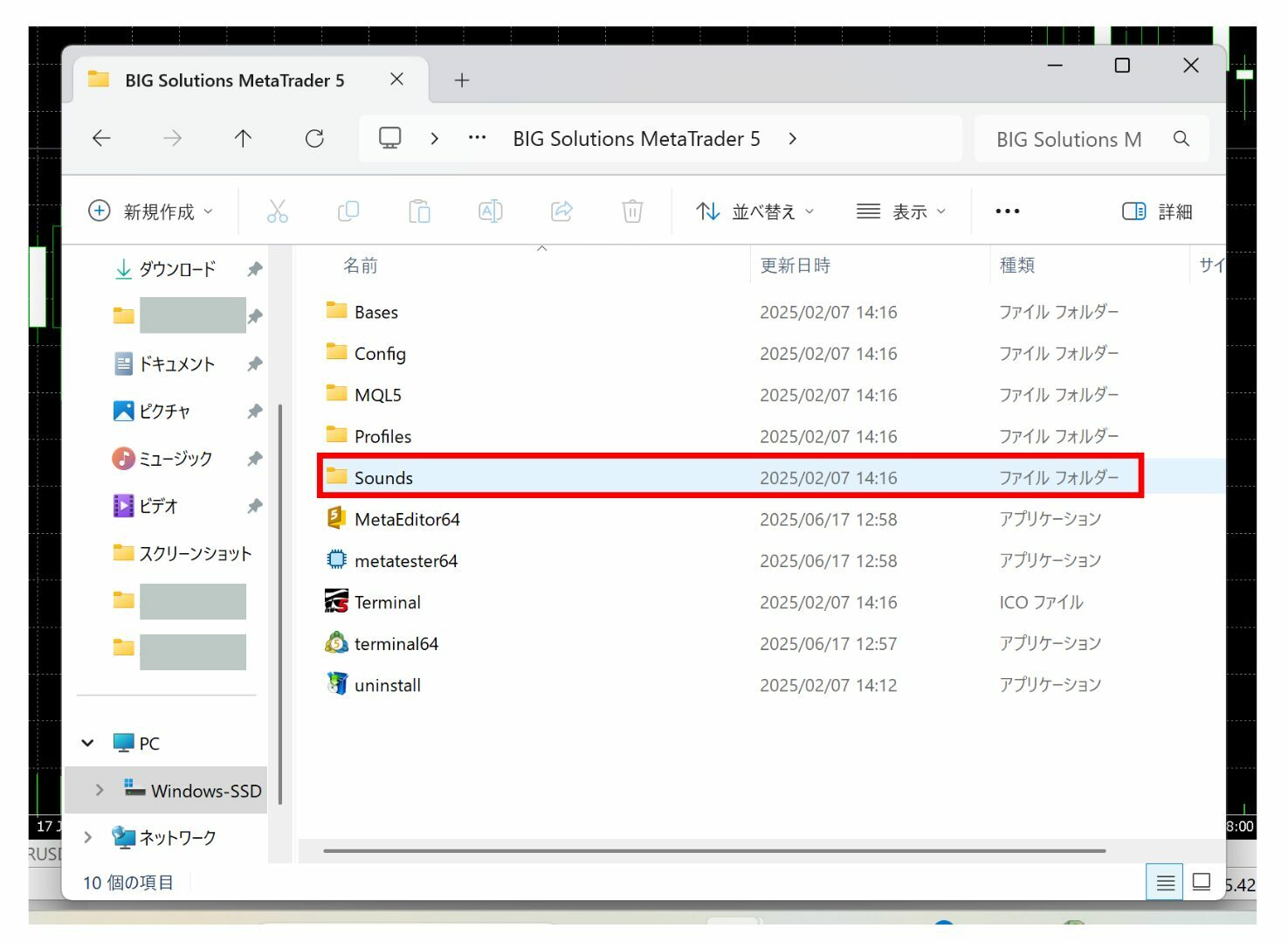 mt5音声アラート8