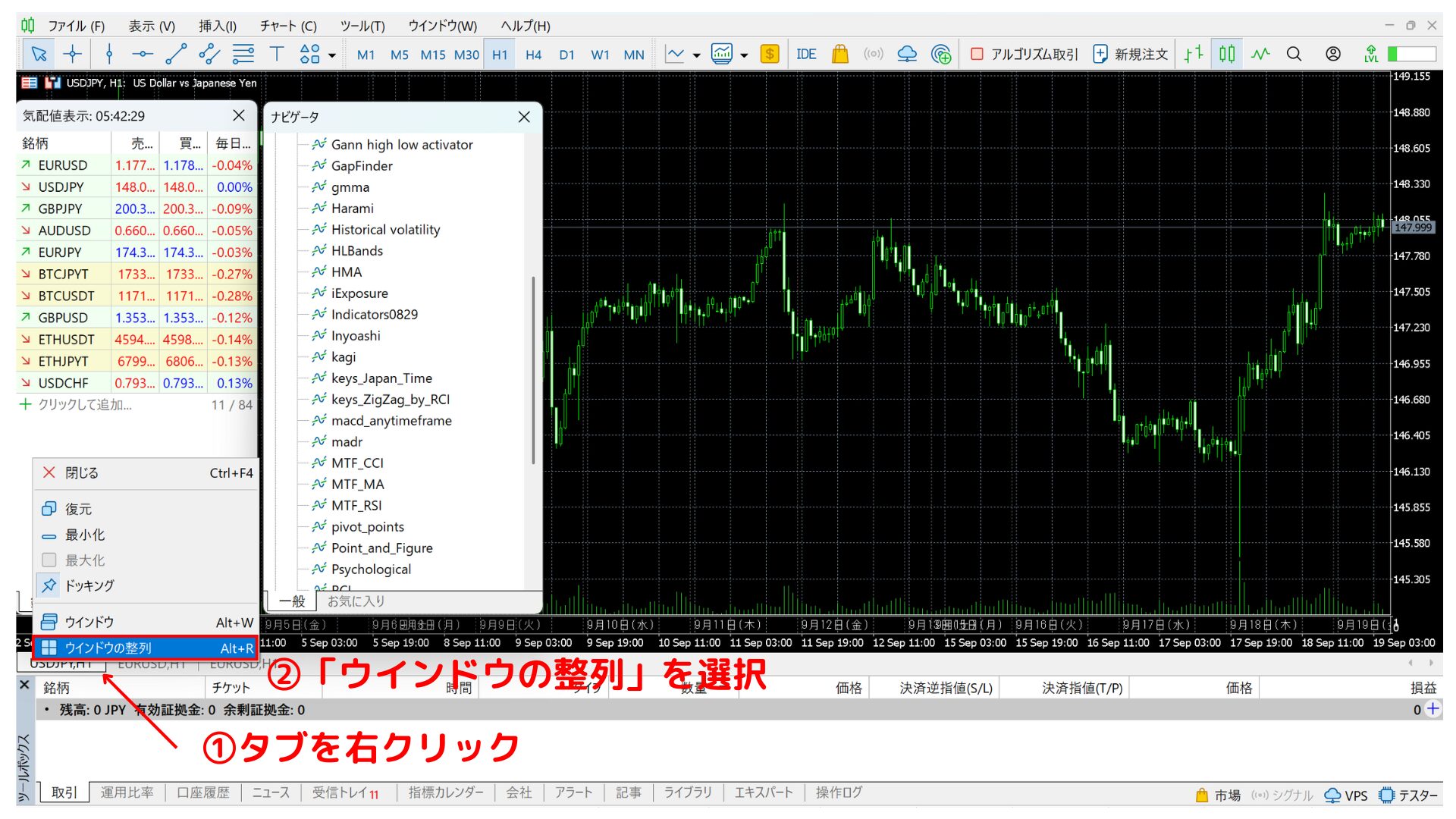 mt5全体図_複数チャート表示
