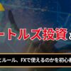 タートルズ投資とは？