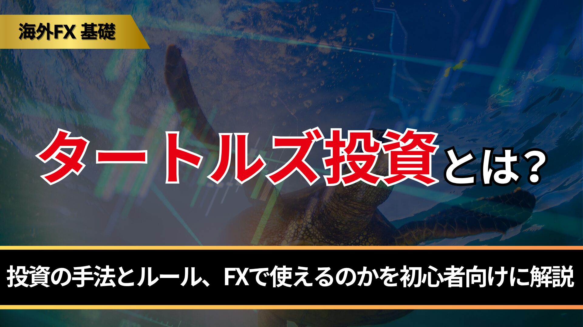 タートルズ投資とは？