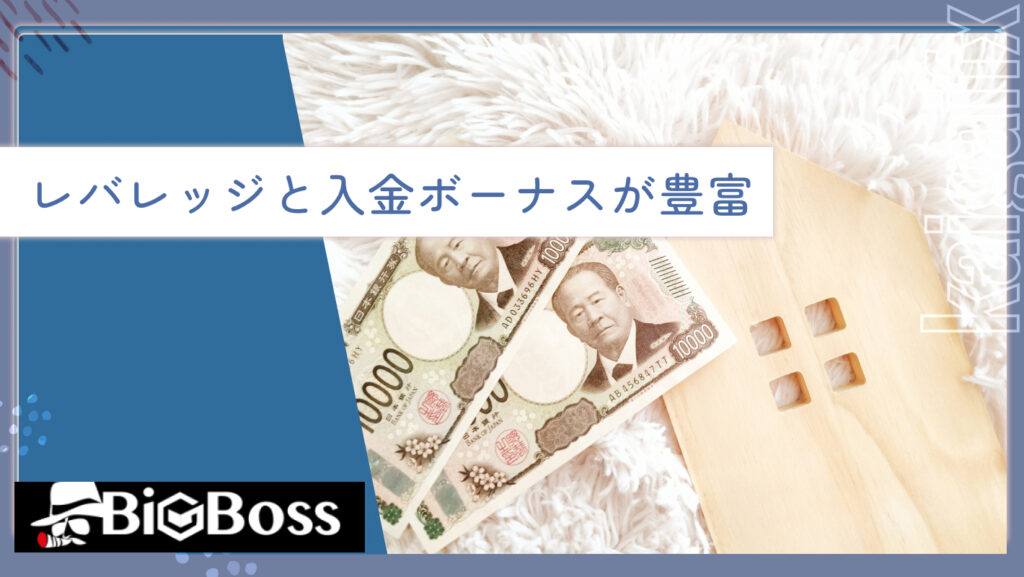 レバレッジと入金ボーナスが豊富