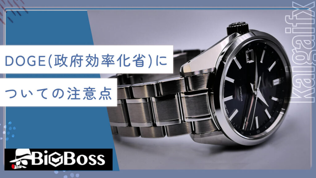 DOGE(政府効率化省)についての注意点
