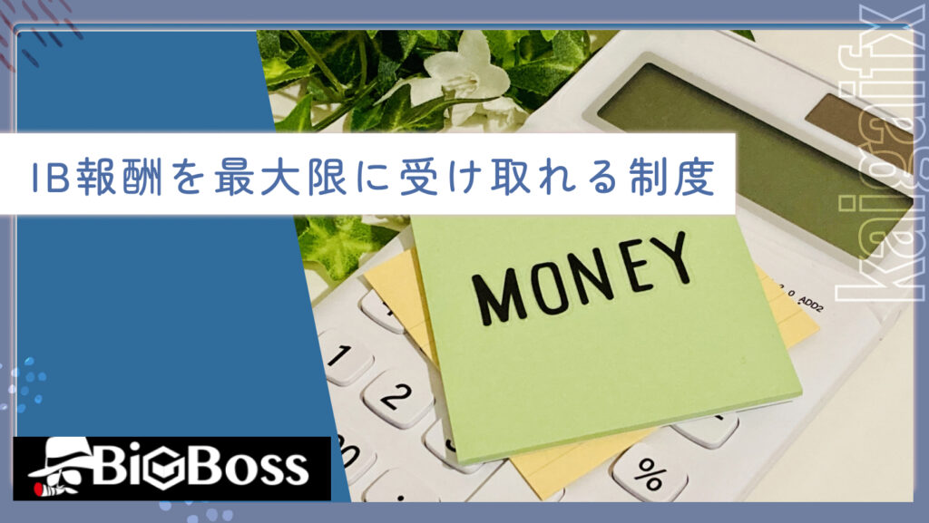 IB報酬を最大限に受け取れる制度