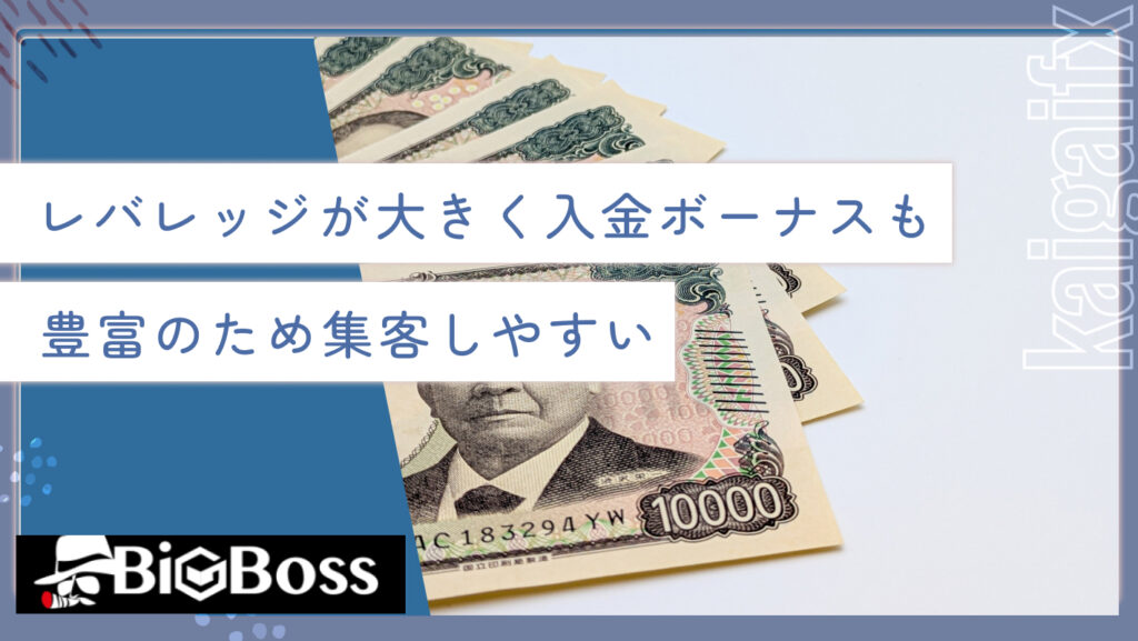 レバレッジが大きく入金ボーナスも豊富のため集客しやすい
