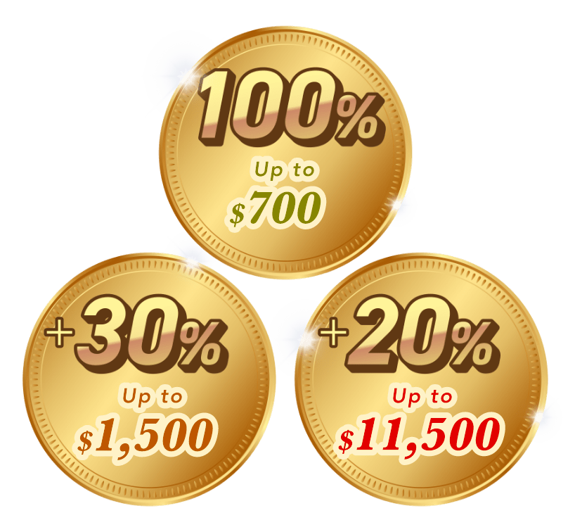 100％ Upto $700＋30％ Upto $1,500＋20％ Upto $11,500