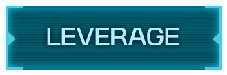 Leverage