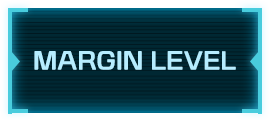 Margin Level