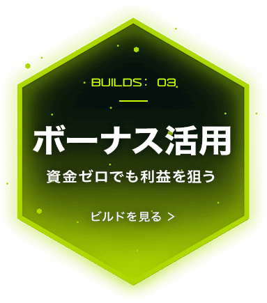 ボーナス活用