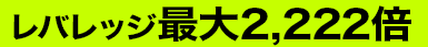 レバレッジ 最大2,222倍