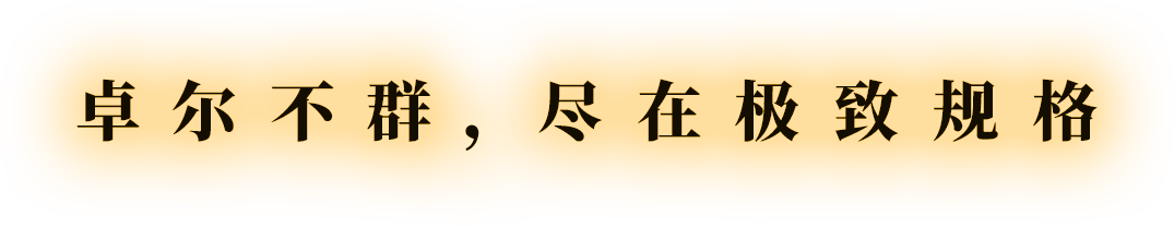 卓尔不群，尽在极致规格