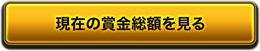 現在の賞金総額を見る